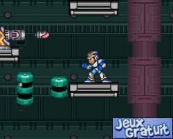 Megaman: Project X