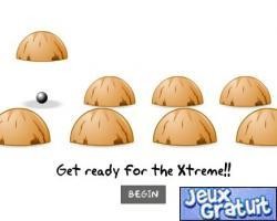 Xtreme Shell Game