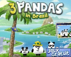 3 Pandas In Brazil