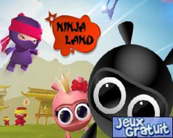 Ninja Land