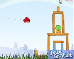 Angry birds