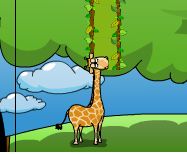 giraffe above
