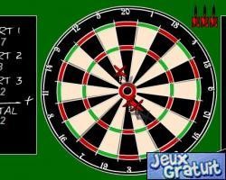 PRO 501 DARTS